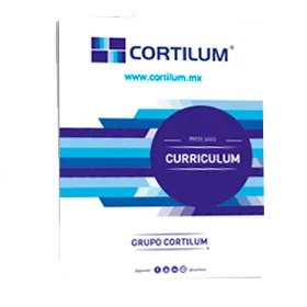 Curriculum Cortilum